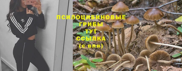 а пвп мука Очёр