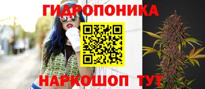 прущие крисы Малгобек