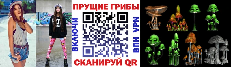 Псилоцибиновые грибы Cubensis  гидра вход  Красноярск  купить  