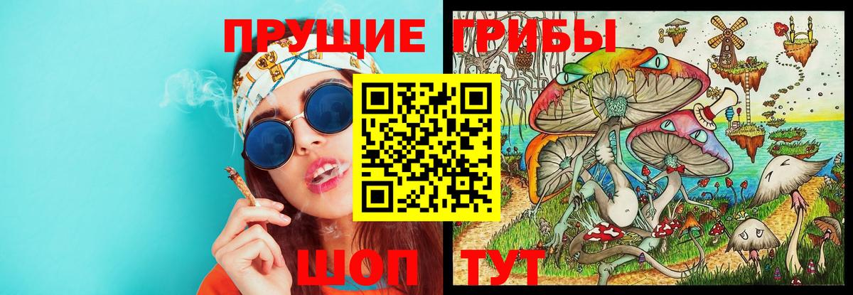 Галлюциногенные грибы мицелий Красноярск