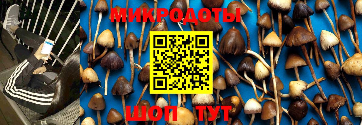 Псилоцибиновые грибы прущие грибы  Галлюциногенные грибы Psilocybe  Красноярск 